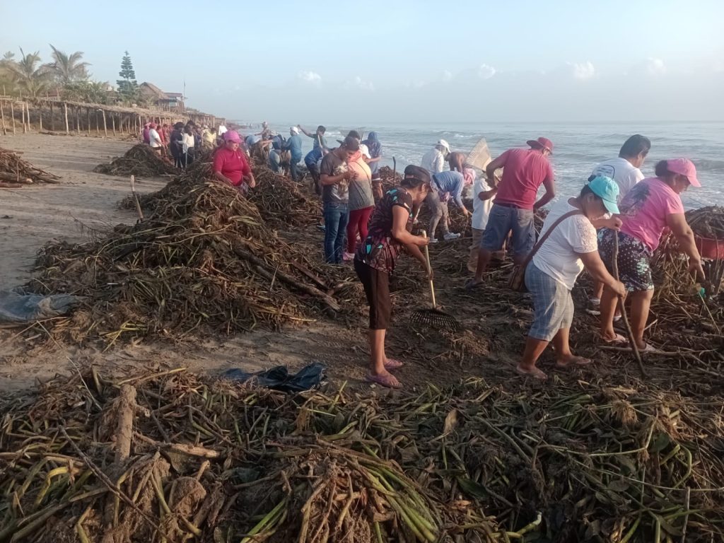 Jornada de Limpieza de Playas